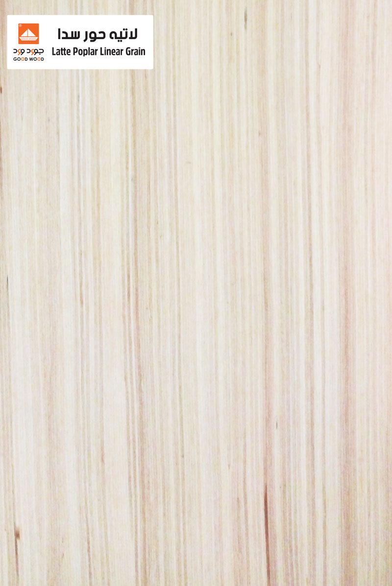 Poplar Linear Wood Grain