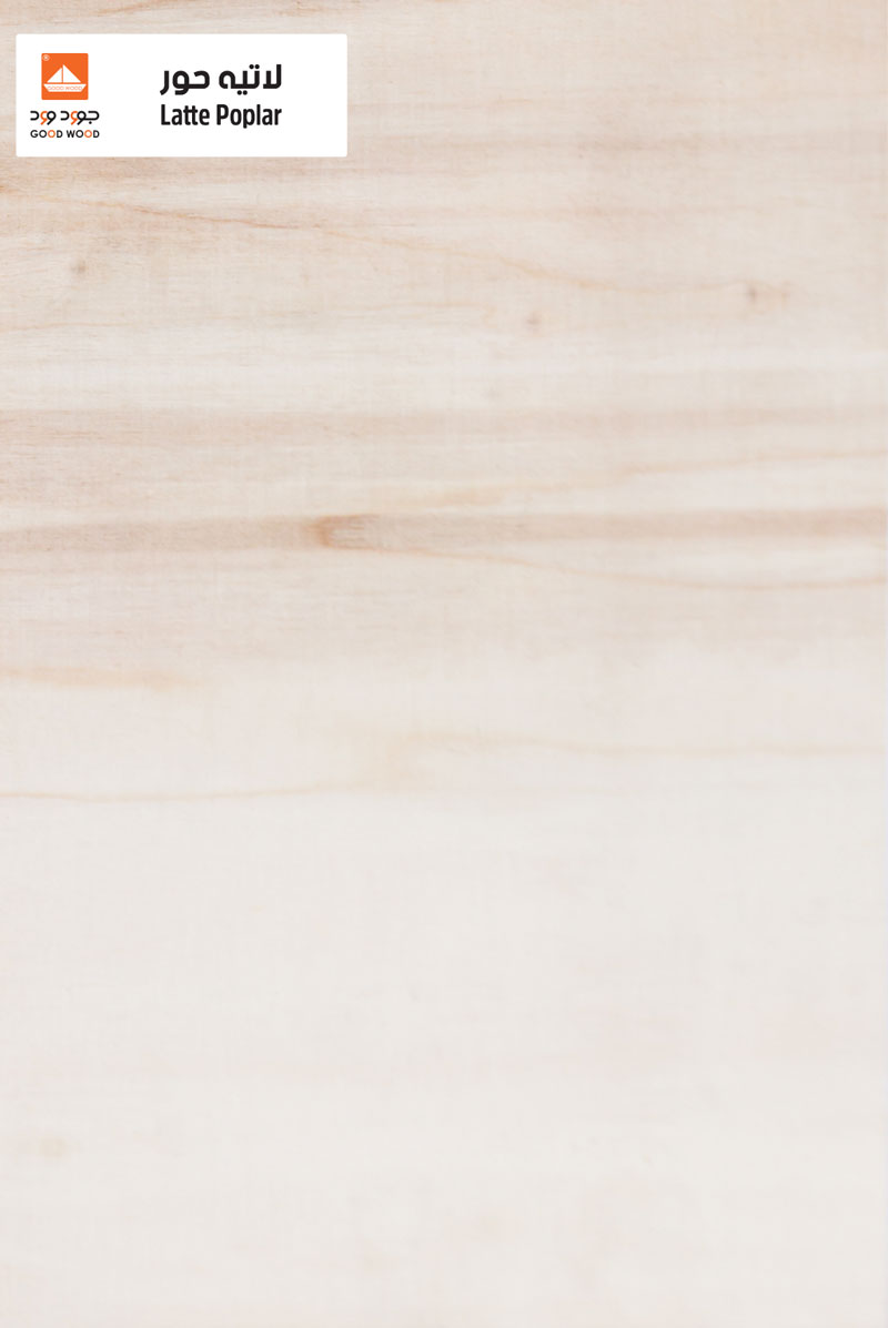 Latte Poplar